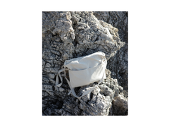 STAR SIGNS – CAPRICORN